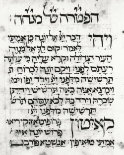 Hebrew text and Greek translation of Jonah 1:1-3,
                            220r