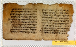 Translation of Qoh 2:13–17 ” (T5, recto) 